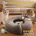 🐱The Ultimate Cat Playground & Cozy Bed – All in One!🛌