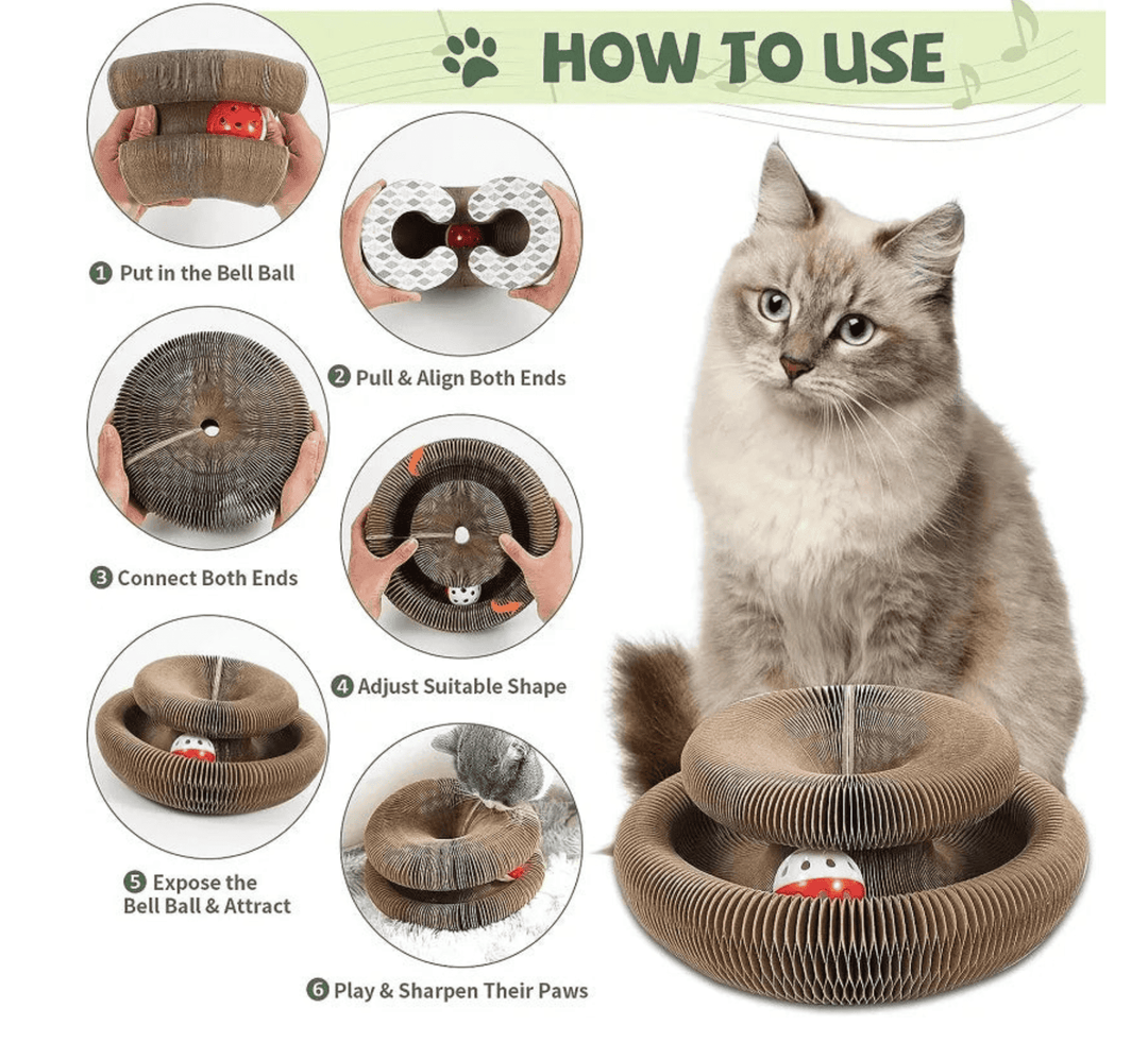 🐱The Ultimate Cat Playground & Cozy Bed – All in One!🛌