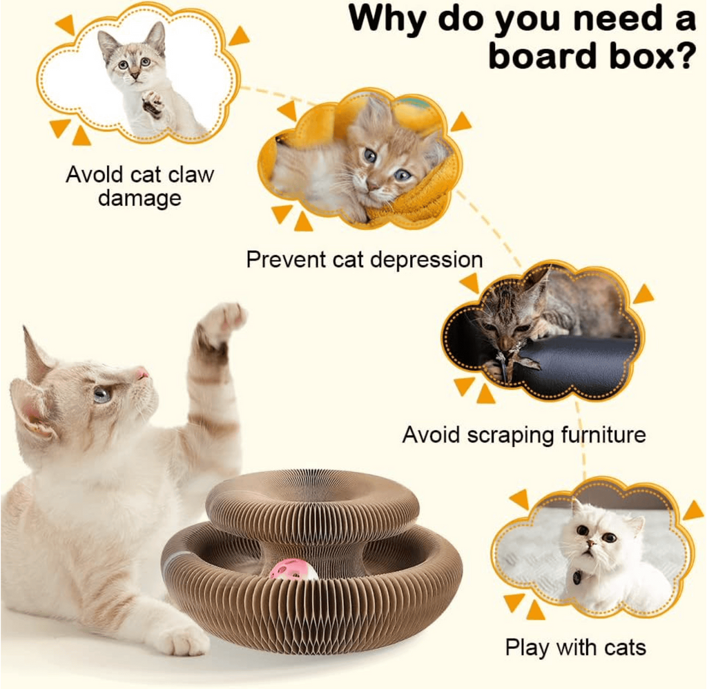 🐱The Ultimate Cat Playground & Cozy Bed – All in One!🛌