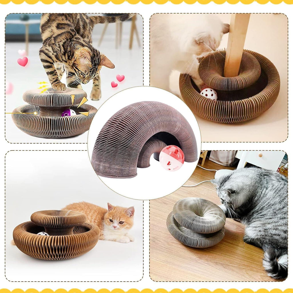 🐱The Ultimate Cat Playground & Cozy Bed – All in One!🛌