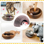 🐱The Ultimate Cat Playground & Cozy Bed – All in One!🛌