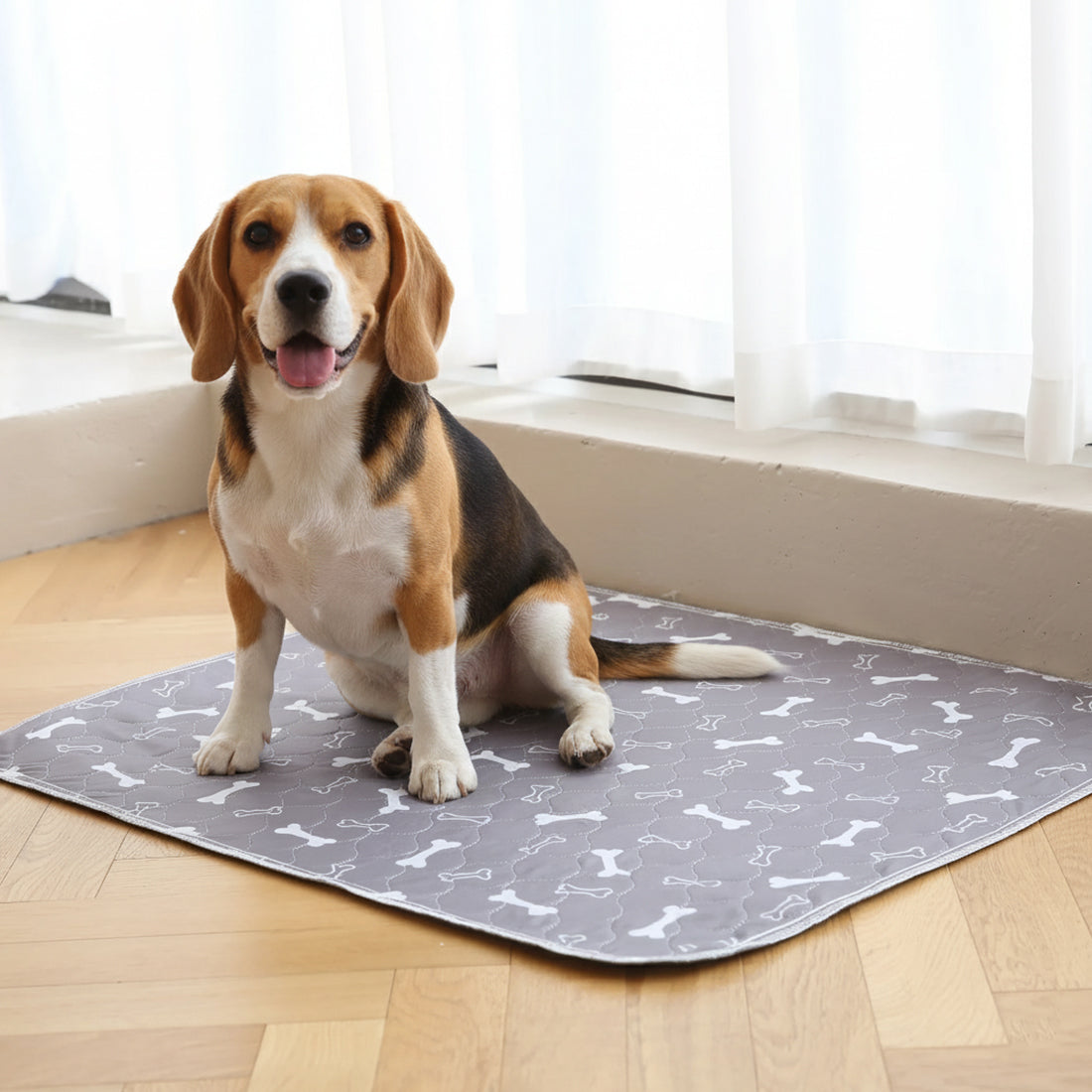 Pup Pad By NovaPaw