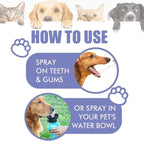 Pet Oral Care Spray – Fresh Breath & Cleaner Teeth, No Brushing Needed-BP