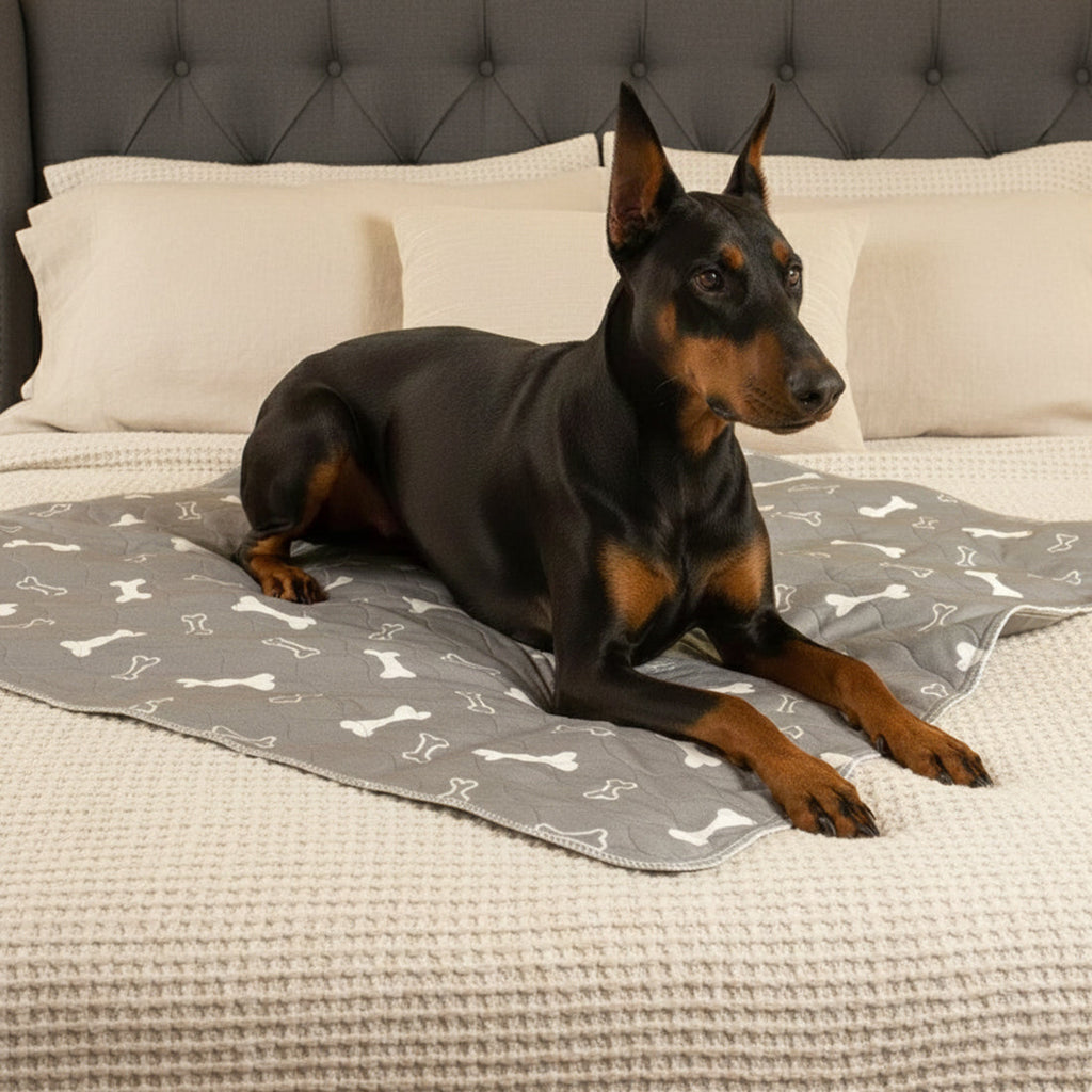Pup Pad By NovaPaw